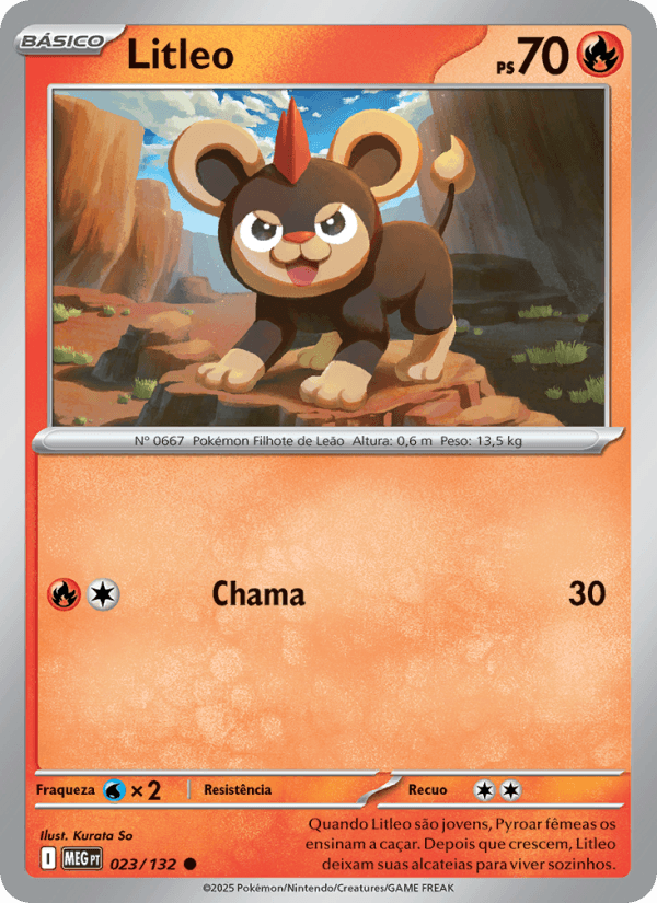 Litleo 023/132