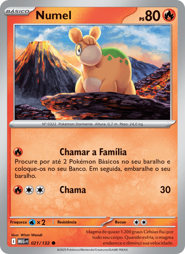 Numel 021/132